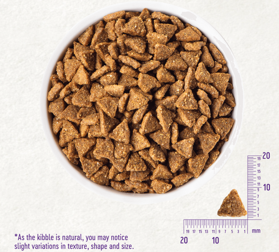 (15% Off Bundle deal) Wellness Complete Health Grain Free Small Breed Dog (Deboned Turkey, Chicken & salmon meal) 4lb, 11lb - Image 3